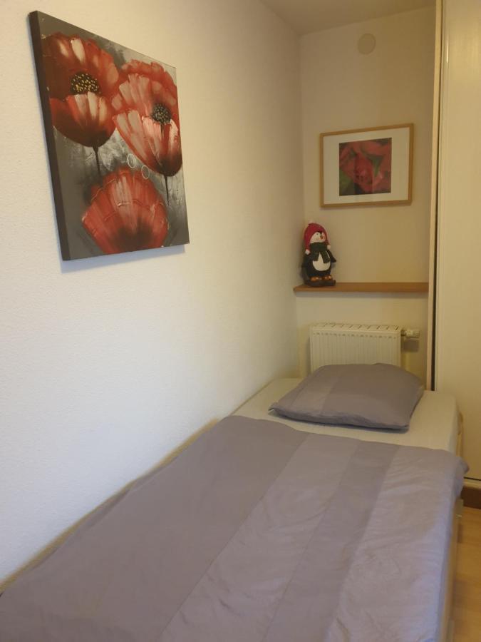 Appartement Proche D'Europa Park/Marches De Noel Rhinau 외부 사진