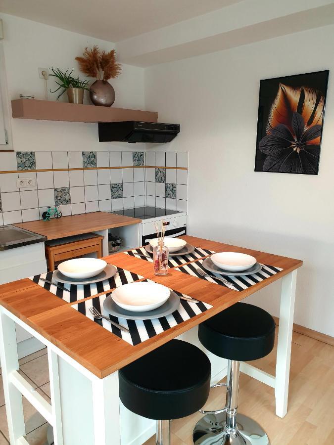 Appartement Proche D'Europa Park/Marches De Noel Rhinau 외부 사진