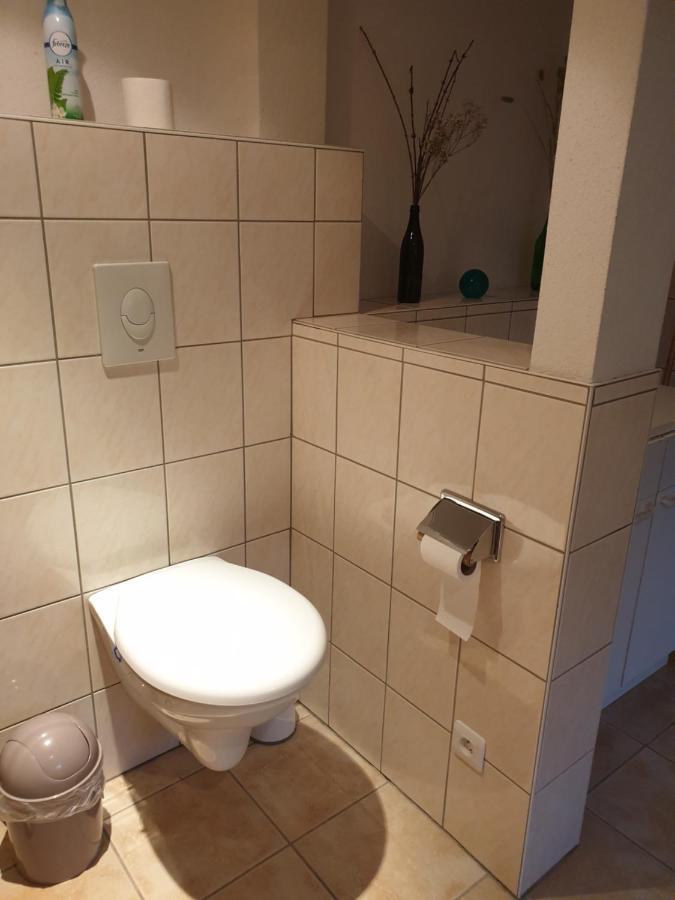 Appartement Proche D'Europa Park/Marches De Noel Rhinau 외부 사진