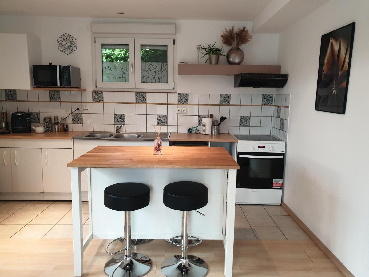 Appartement Proche D'Europa Park/Marches De Noel Rhinau 외부 사진