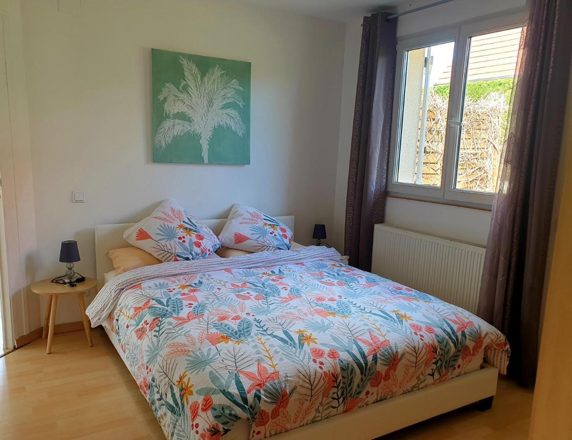 Appartement Proche D'Europa Park/Marches De Noel Rhinau 외부 사진